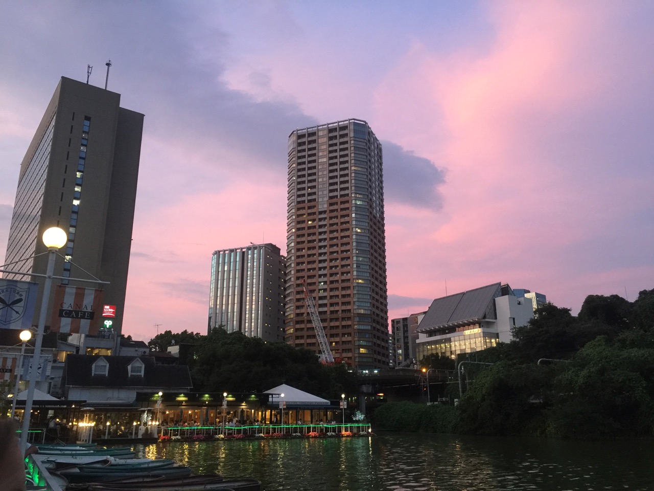 Beautiful Tokyo Summer Evening