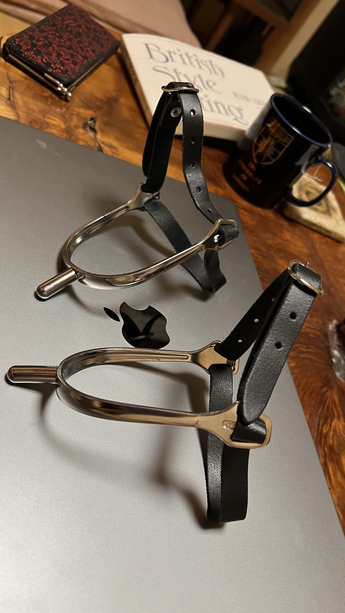 乗馬Day 61: 調馬索に戻り…