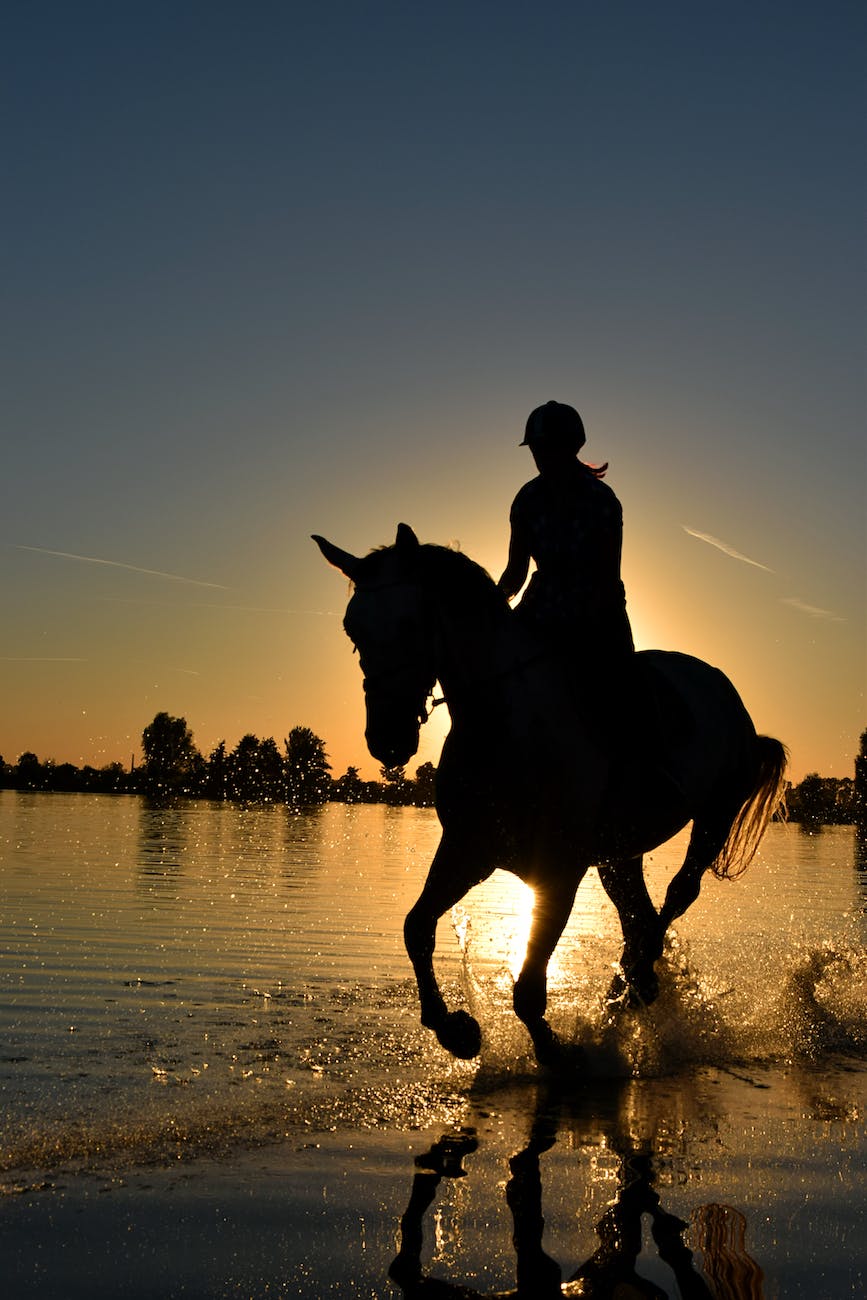 silhouette of person riding horse on body of water under yellow sunset