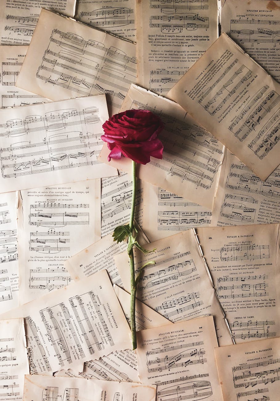 rose placed on pages of musical notation
