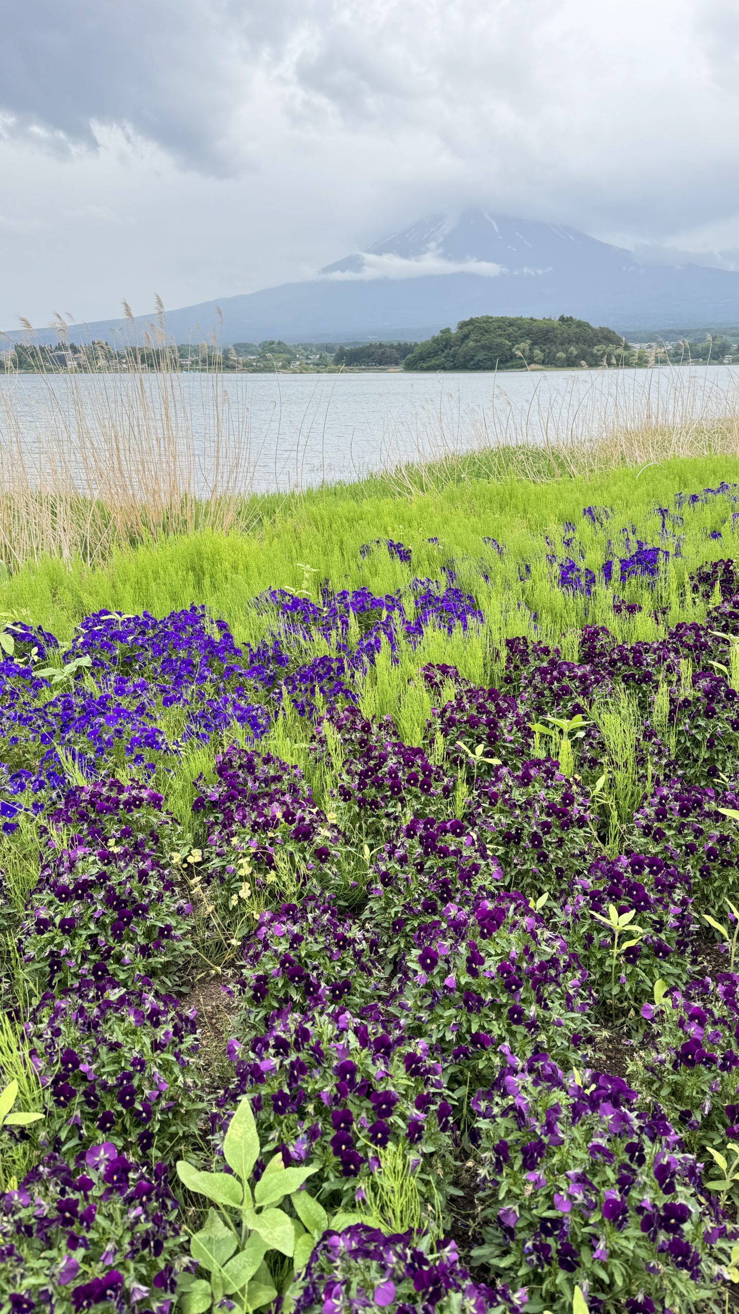 演技で大事なことは？