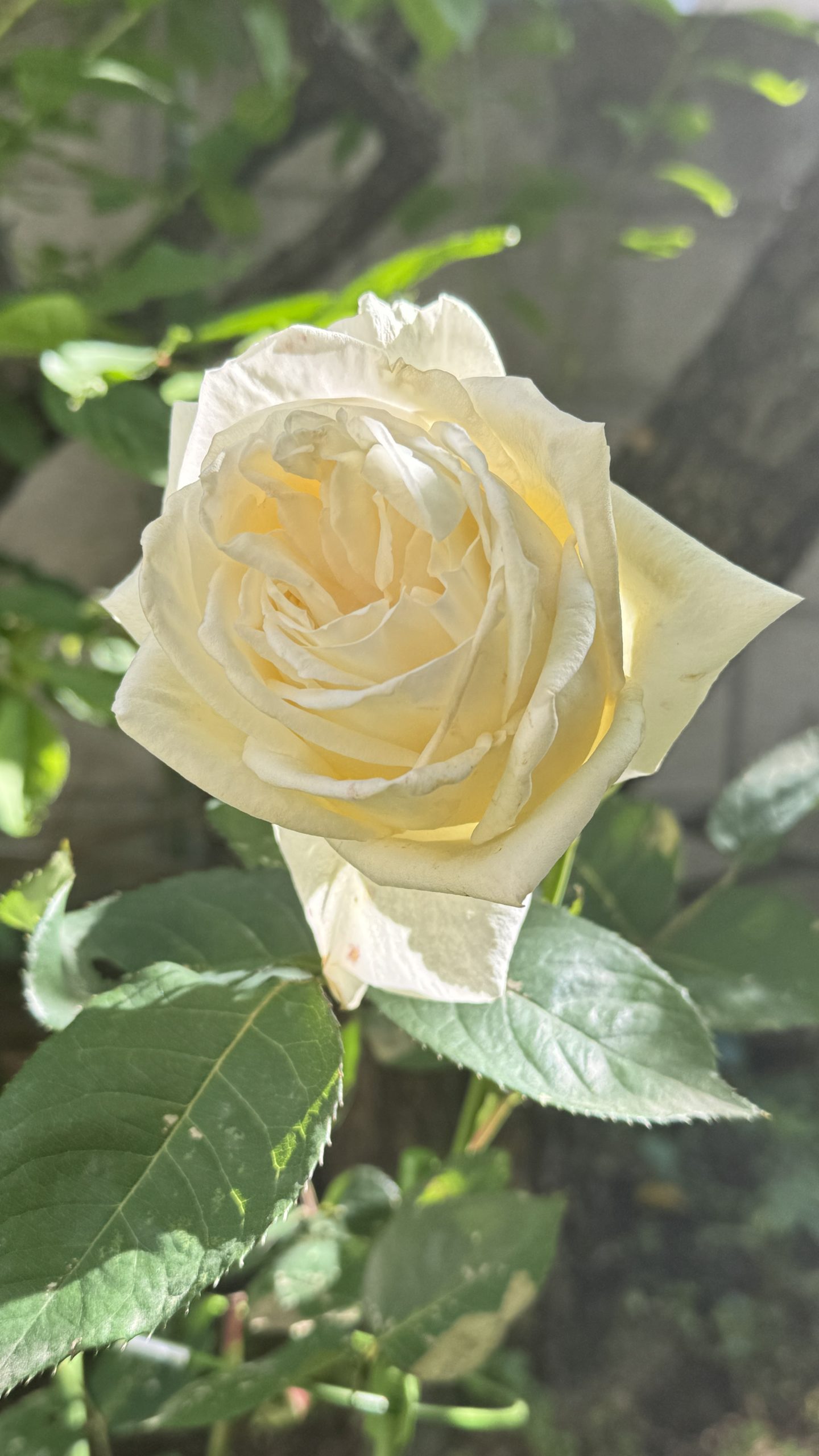 演技がうまくなるためには