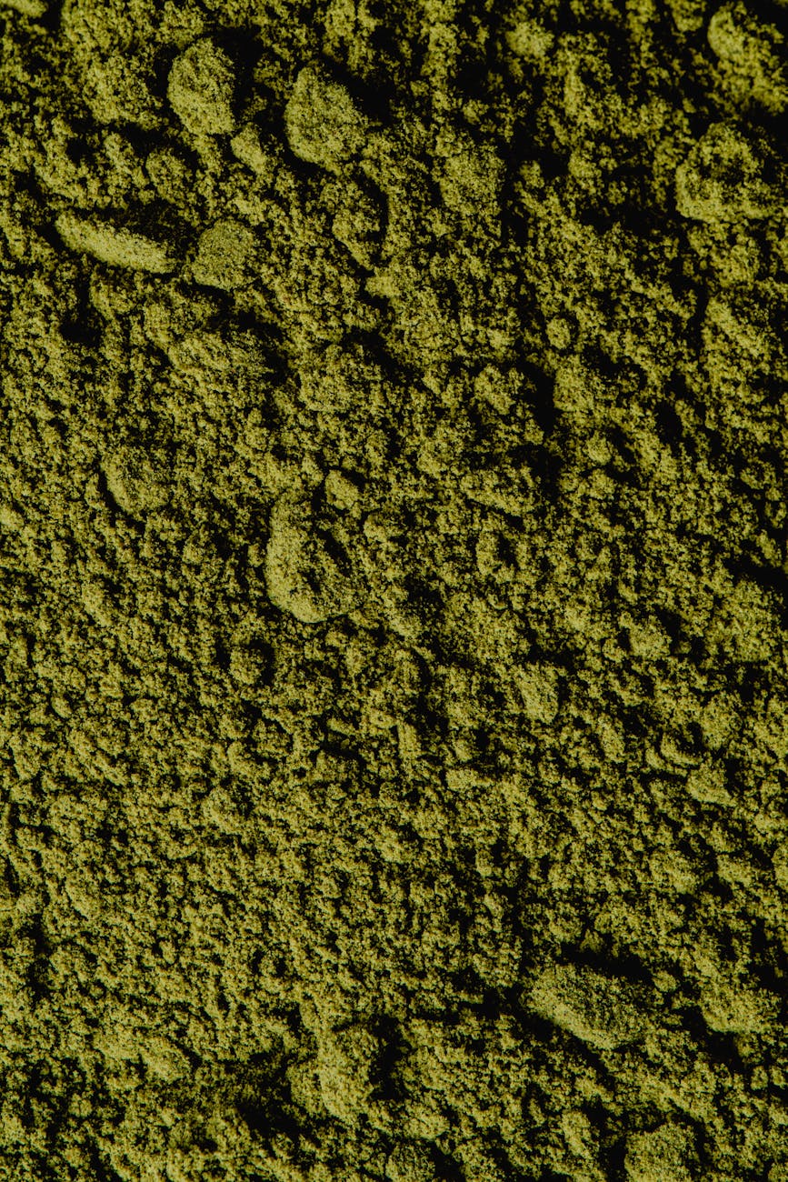 macro photography of green powder