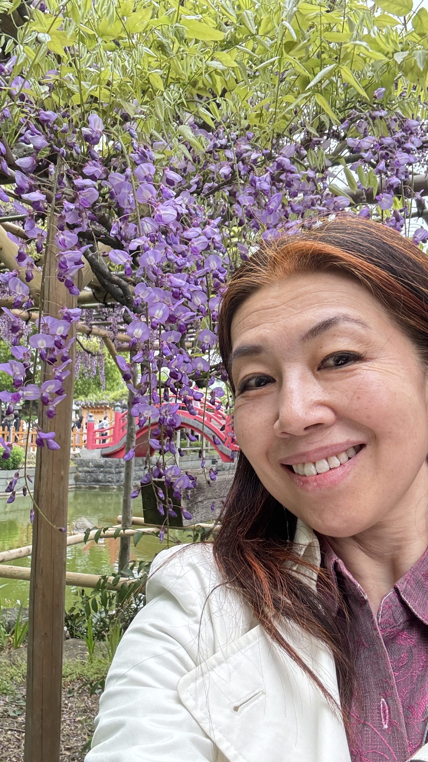 Kameido Shrine with Wisteria, and With Good Grace To Grace A Gentleman [Shakespeare For You]